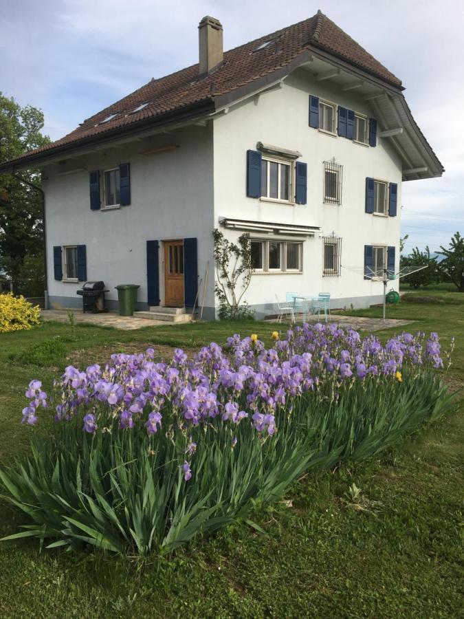 B&B Domaine En Trembley Commugny Exterior foto